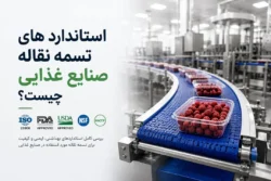 استاندارد های تسمه نقاله صنایع غذایی