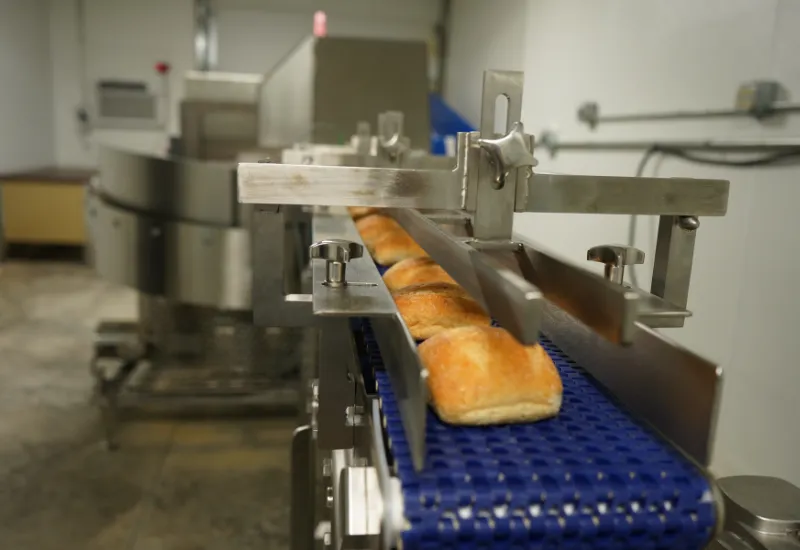 تسمه نقاله بهداشتی