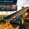 کاربرد نوار نقاله در کشاورزی؛ افزایش بهره وری و کاهش هزینه های برداشت